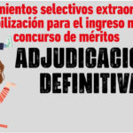 Procedimientos selectivos extraordinarios de estabilización para el ingreso mediante concurso de méritos | ADJUDICACIONES DEFINITIVAS