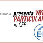 Voto particular de STEs en el Consejo Escolar del Estado